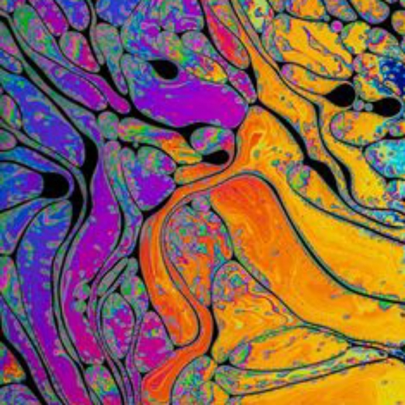 Meet your Posher, Whitney - Picture 1 of 2